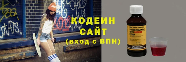 гашик Козловка