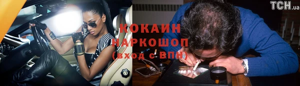 гашик Козловка