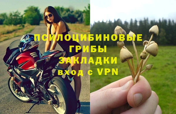 а пвп мука Кодинск