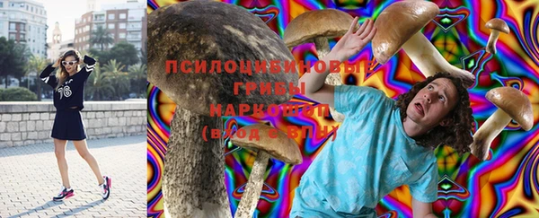 а пвп мука Кодинск