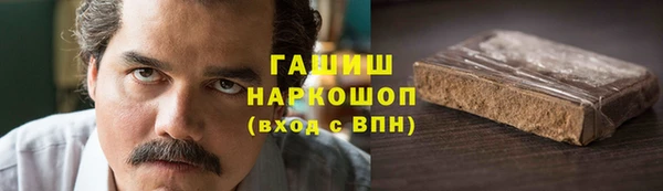 гашик Козловка
