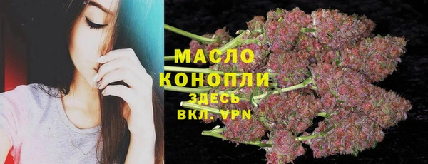 гашик Козловка