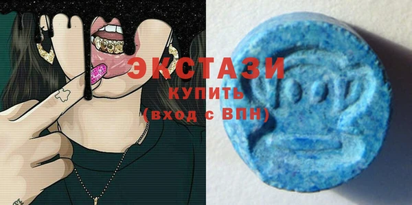 гашик Козловка