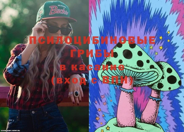 гашик Козловка