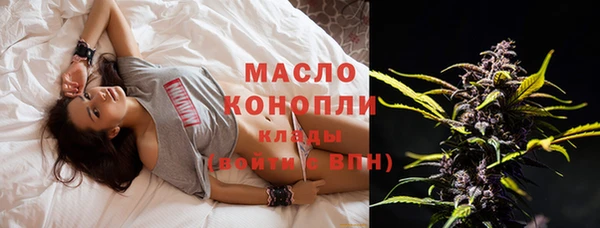 гашик Козловка