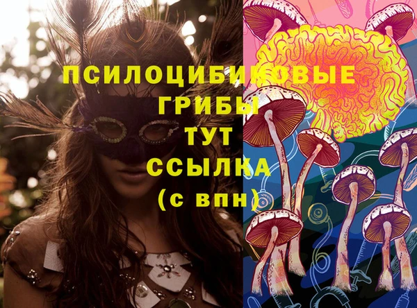 а пвп мука Кодинск