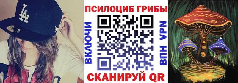 Галлюциногенные грибы Psilocybe Оханск